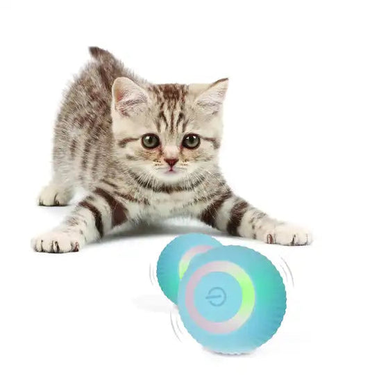 Interactive Cat Toy Ball