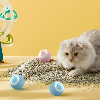 Interactive Cat Toy Ball