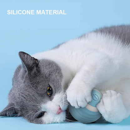 Interactive Cat Toy Ball