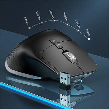 Ergonomic RGB Wireless Mouse Rechargeable