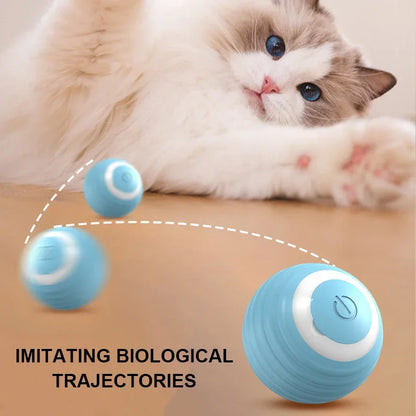 Interactive Cat Toy Ball
