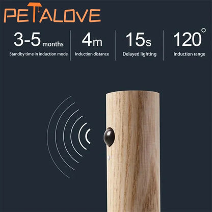 LED Motion Sensor Night Light