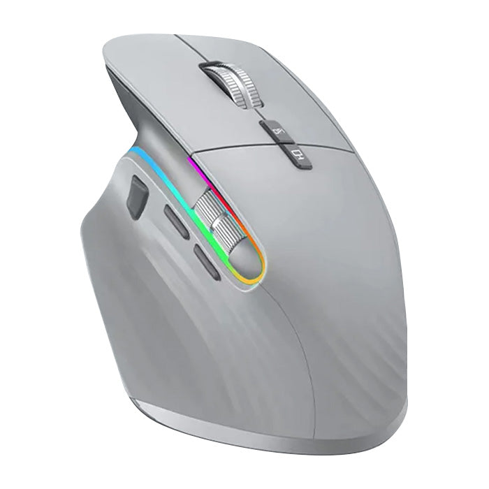 Ergonomic RGB Wireless Mouse Rechargeable